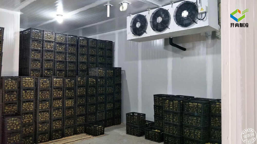 建造一個100噸的水果保鮮冷庫多少錢？