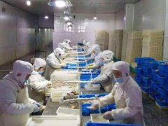 青島安裝一個水產海鮮冷凍庫需要多少錢?