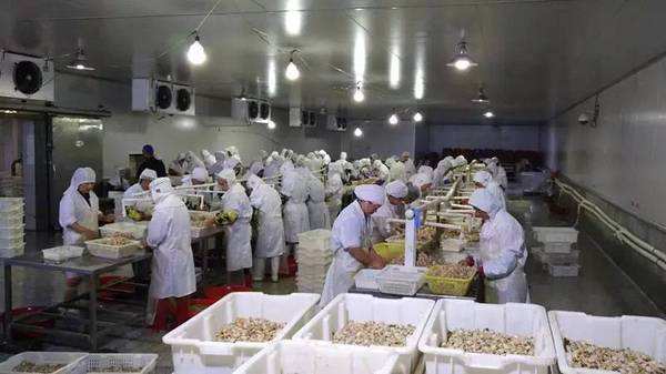 1571897071714857.jpg timg (9).jpg