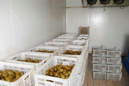 0-10℃高溫冷庫 0-10℃高溫冷庫