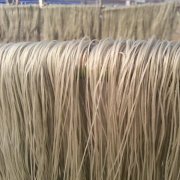 建造一個(gè)500噸粉絲冷庫造價(jià)多少?