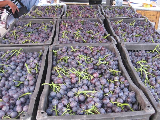 葡萄保鮮冷庫 葡萄保鮮冷庫