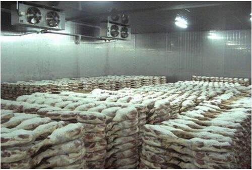 800平米禽肉冷庫 800平米禽肉冷庫