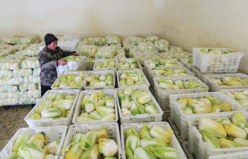 山東大型蔬菜冷庫 山東大型蔬菜冷庫