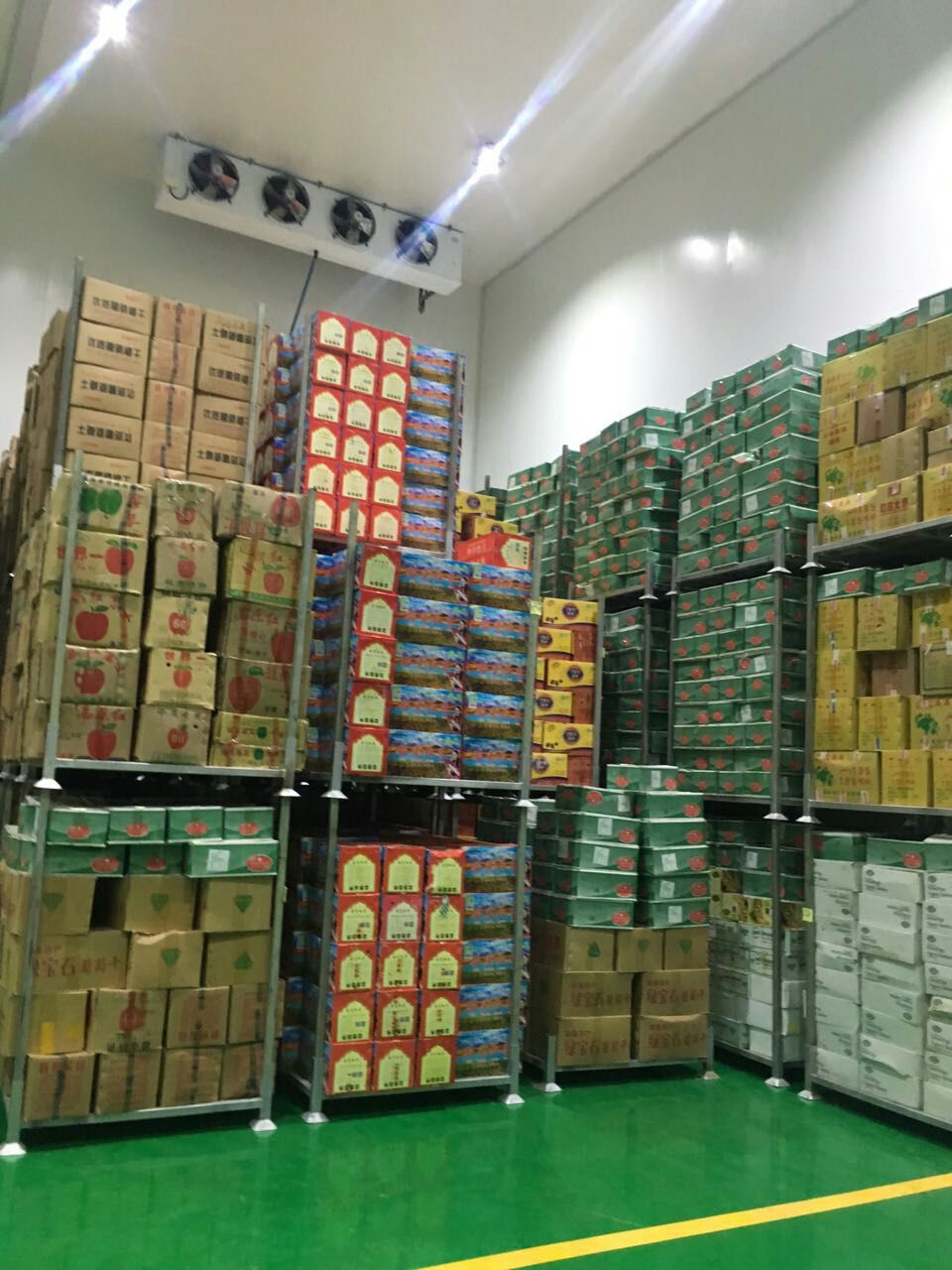 1000噸水果保鮮冷庫(kù) 1000噸水果保鮮冷庫(kù)