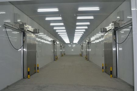 上海1500平米綜合型冷庫(kù) 上海1500平米綜合型冷庫(kù)