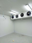 500平米海鮮冷庫建造，-25℃冷凍庫造價多少錢