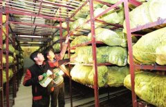 1000立方果蔬保鮮庫設計安裝要多少錢?