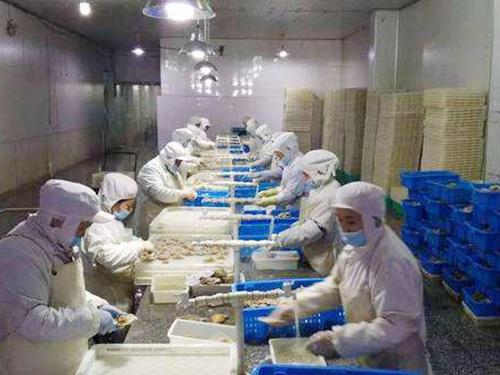 3000立方水產(chǎn)魚蝦冷藏庫(kù) 3000立方水產(chǎn)魚蝦冷藏庫(kù)