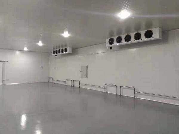 1000平米高3米冷庫(kù)