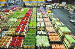 800平米鮮花保鮮冷庫安裝費用是多少？