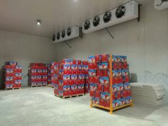 1800噸蘋果冷庫(kù)建造工程大約需要投資多少錢