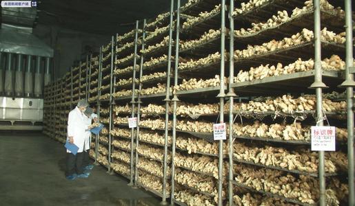 生姜保鮮冷庫 生姜保鮮冷庫