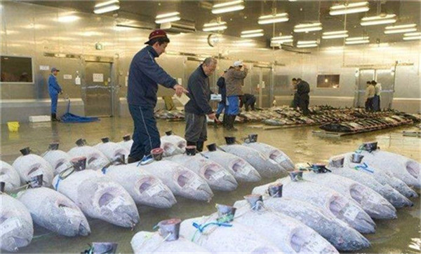 　水產冷庫、三文魚生魚片冷庫