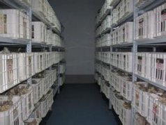 保鮮冷庫(kù)貯藏龍眼(桂圓)的方法