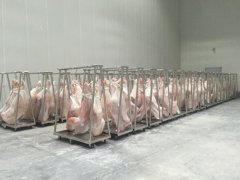 拼裝式冷庫建造工程造價(jià)，-18℃豬肉冷凍庫設(shè)備