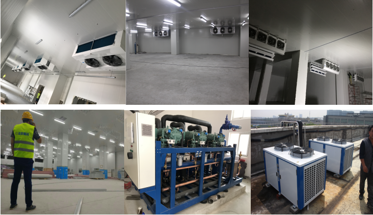 http://www.cuiruan.cn/gongchenganli/shipin/1230.html