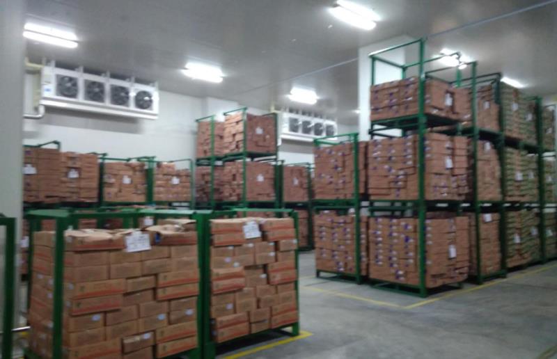 1000噸食品冷凍庫設計，制冷設備大概需要多少錢
